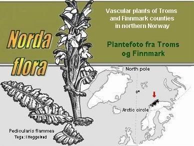 nordaflora logo